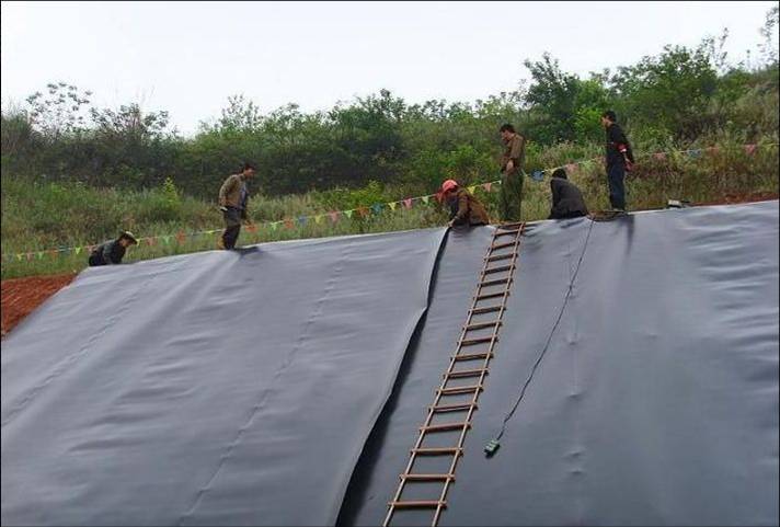 yz防水板，德州陵县供应一级车库库顶防渗防水板