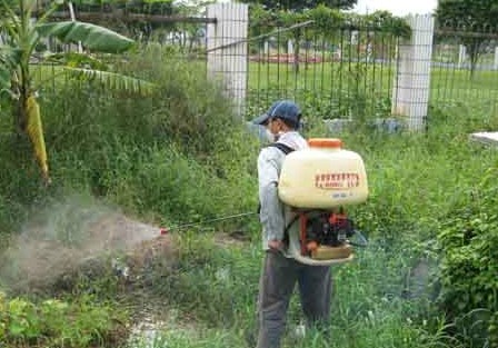 佛山大象有害生物商场白蚁灭治 宾馆灭鼠 花园小区白蚁防治广东