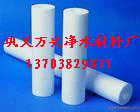 温州纤维球生产厂家 纤维球价格{zx1}报价1031