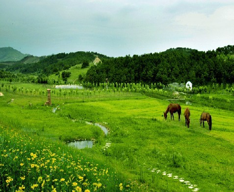 木兰草原深秋来临 去天紫湖泡温泉洗澡咯