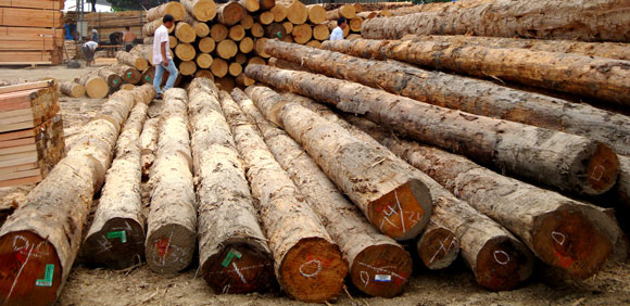 国行木业供应建筑板材，建筑板材销售，山东建筑板材，日照建筑木方国行木业