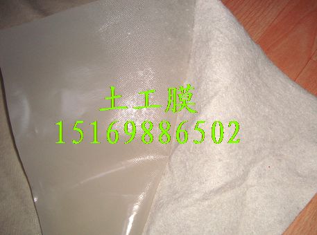 供应两布一膜价格行情，{zx1}复合土工膜走势，土工膜分析15169886502