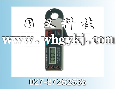 广东销售武汉数字式钳形表MODEL2002PA价格 电话02787262533，国仪