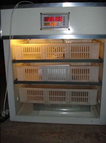 供应姚安县小型孵化机、大理市孵化机、剑川县全自动孵化机