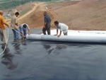 福建生产厂家供应全国{zh0}的短丝复合土工膜 HDPE防水板
