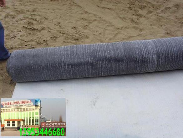 三维复合排水网 土工网 土工网垫，山东鑫宇是您理想选择