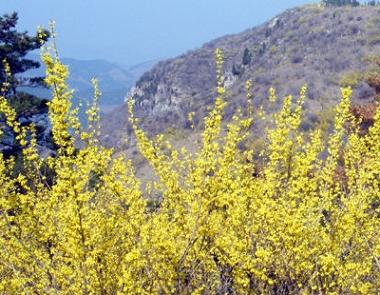 仰天山青州市旅游景点|潍坊旅游景点|森林旅游景区