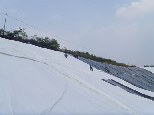 黑龙江柱点防水板施工,柱点防水板工艺，柱点防水板