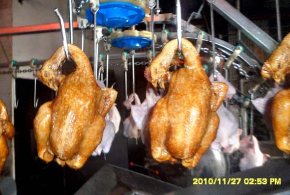 供应吊挂式油炸鸡生产线|提供扒鸡生产工艺|油炸鸡生产线
