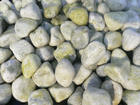 朔州直供鹅卵石滤料，tr卵石价格及用途