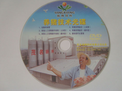 优质供应大小批量 优质DVD光盘  原料光盘  专业光盘制作供应
