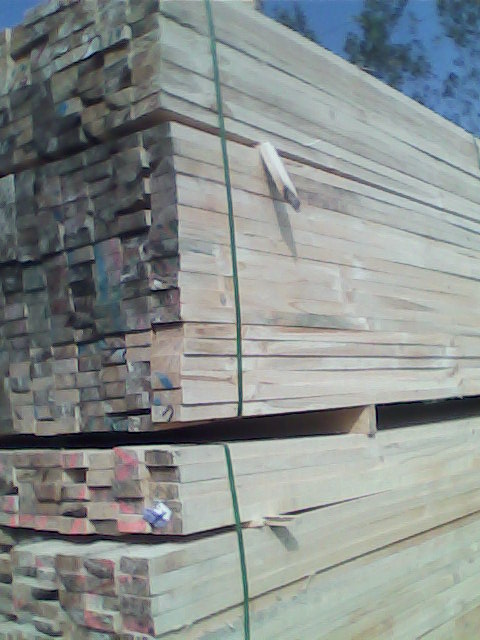 双日木业建筑板材，木方，优质木材销售，大量木材加工