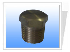 供应ASME B16.11不锈钢材质圆头管塞02