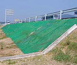 现货供应|柳州三维植被网|土工席垫|土工网|格绿化三维植被网|