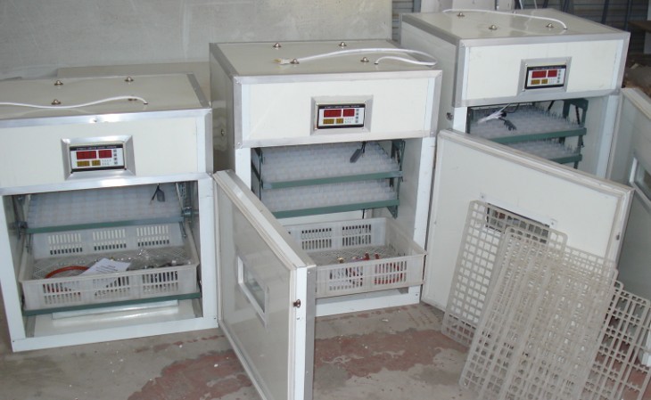 供应惠州孵化机 梅州孵化机器 茂名 高州自动孵化设备