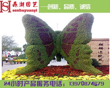 江西花卉租赁公司，江西最知名的花卉租赁公司森湖花卉