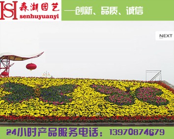 江西花卉租赁公司，江西最知名的花卉租赁公司森湖花卉