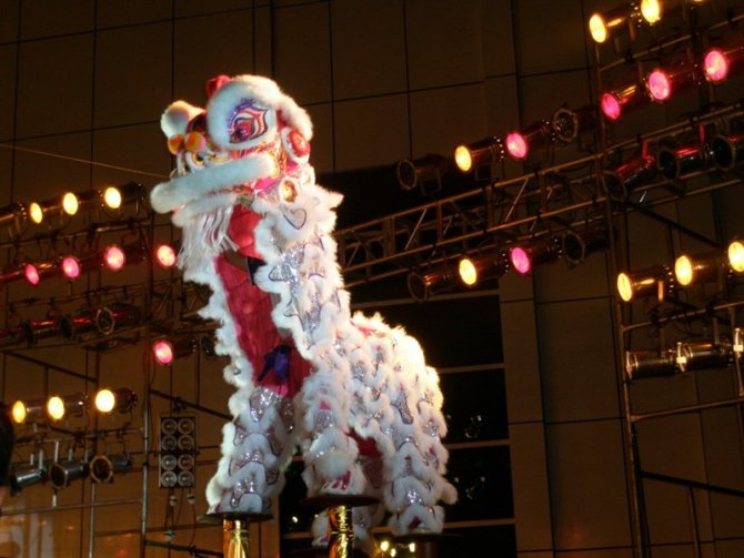 花都醒狮队，醒狮队，花都舞龙队