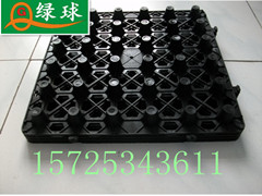 邢台市排水板厂家/塑料排水板/绿球排水板157；2534；3611