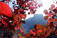 仰天山青州市森林旅游|森林旅游|省级旅游景点|森林公园旅游景区