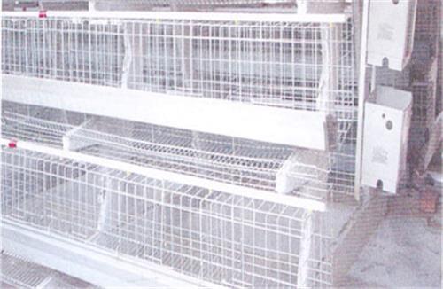 东北畜牧鸡笼|鸡笼专业生产|安徽各地鸡笼|鸡笼专业生产