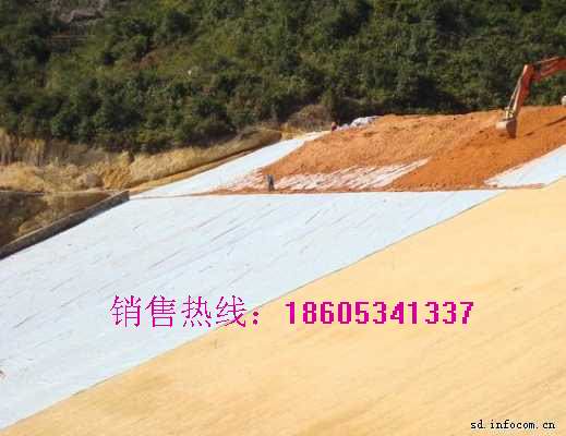 新疆土工格栅/阿拉尔土工格栅/吐鲁番土工格栅/石河子土工格栅