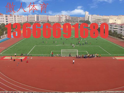 杭州 提供足球场地 足球场地施工 傲人体育