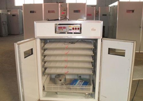 临沂孵化机器保定自动孵化机宝鸡孵化设备唐山市孵化机孵化箱