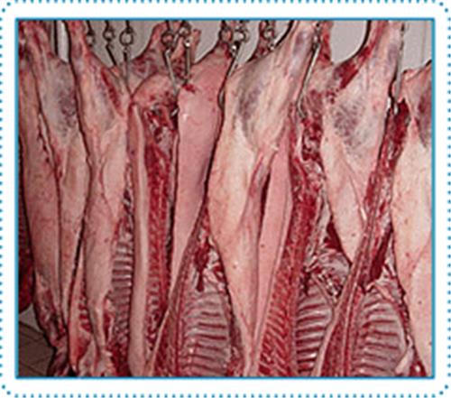 猪分割产品|猪分割产品厂|猪下货|潍坊猪白条供应商