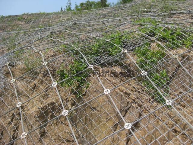 勾花网生产基地.河北勾花网批发价格.安平优质勾花网特点