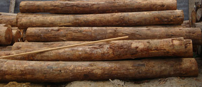 国行木业白松板材，白松板材，白松板材加工，白松板材厂家国行木业