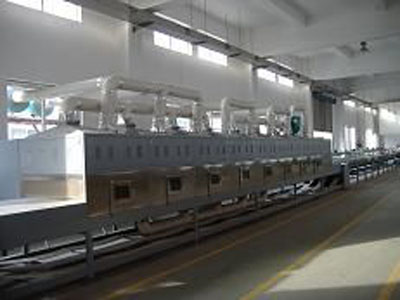 供应河南红枣微波专用干燥设备