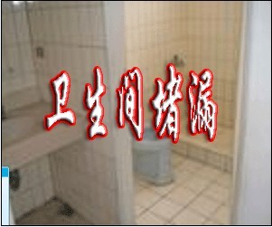 上海专业堵漏/上海防水工程/上海屋面防水
