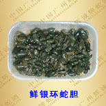 供應(yīng)銀環(huán)蛇膽，鮮蛇膽，干蛇膽，干蝮蛇膽