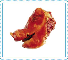 益康宝专业酱猪头肉|酱猪头肉厂|益康宝酱猪头肉|酱猪蹄价格
