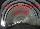 供应泰东yz寿命60年防渗膜隧道防渗膜隧道防水板