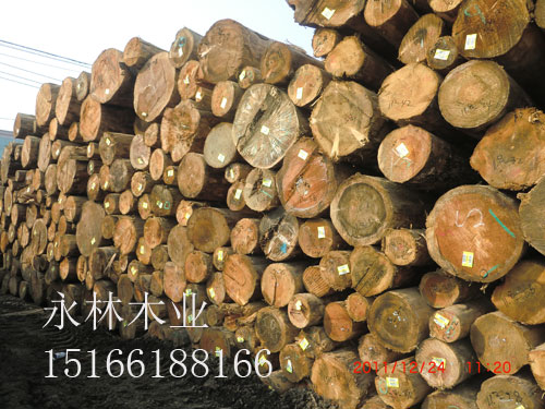 木材包装，进口铁杉方木，美国铁杉原木，优质铁杉板材