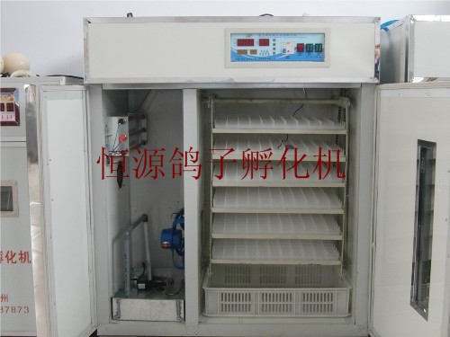 杭州孵化箱，智能鸽子孵化箱，山鸡孵化箱价格，恒源低价      