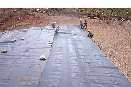商家推荐供应优质HDPE土工膜|山东6米宽土工膜