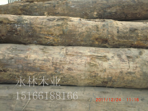 新疆原木加工，优质进口原木，山东原木生产