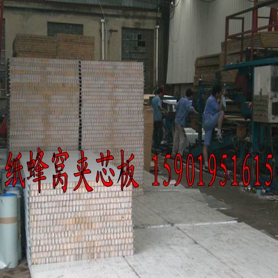 上海彩钢纸蜂窝夹芯板，纸蜂窝夹芯板价格