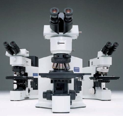 BX51显微镜 金相显微镜