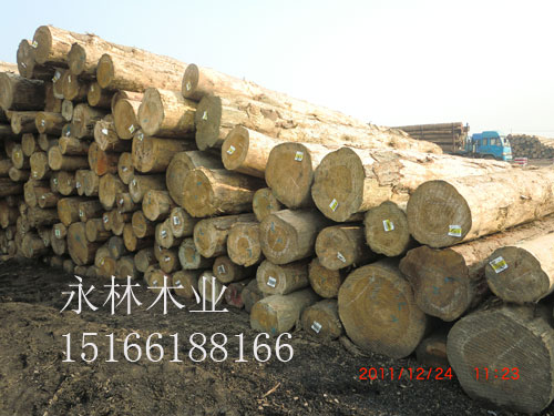 新疆原木加工，优质进口原木，山东原木生产