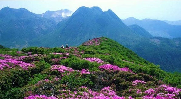 商务会议度假休闲就去木兰八景云雾山 武汉一日游 周边一日游 春游线路