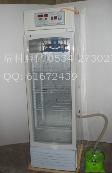 供应双流县500枚孵化机、蒲江县孵化器、保温箱