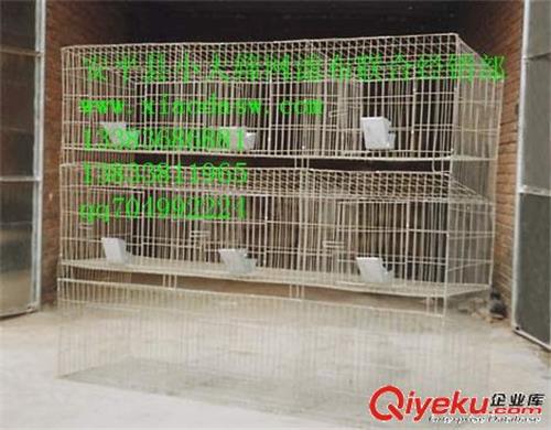 养殖笼具鸡鸽兔笼鸽子笼兔子笼鸡笼子养殖设备饮水器料盒托粪板