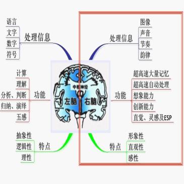 南昌全脑培训学校找哪家 思迈全脑特色教育