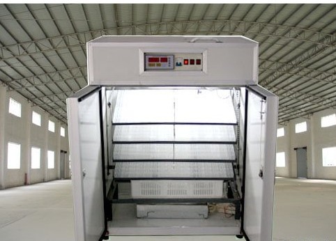 供应巴中 达州孵化机 全自动孵化设备 孵化器箱