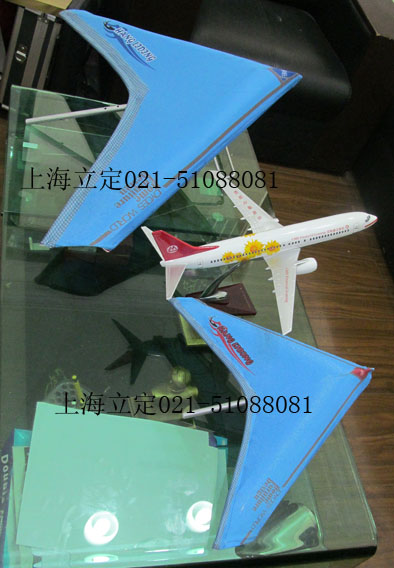 上海立定模型提供yz的滑翔翼模型制作