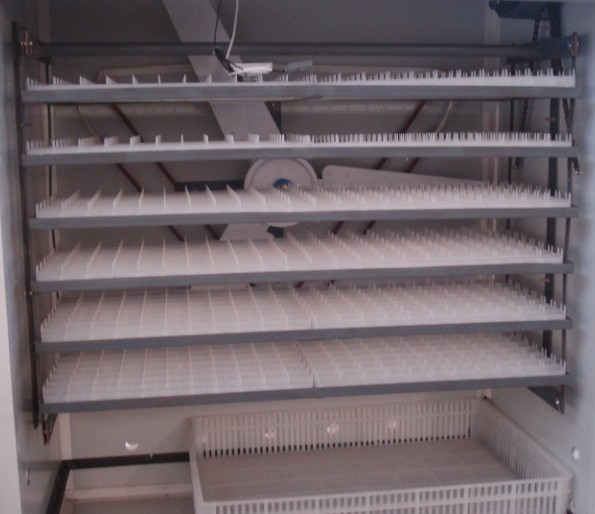 供应张家口孵化机 拉萨全自动孵化设备 周口孵化器箱